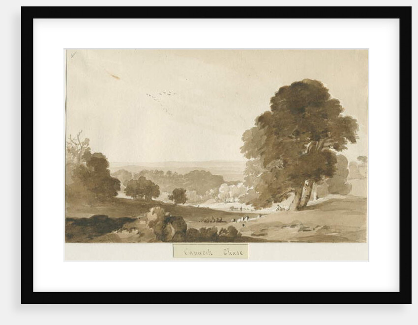 Cannock Chase by Thomas Peploe Wood