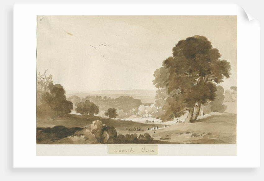 Cannock Chase by Thomas Peploe Wood