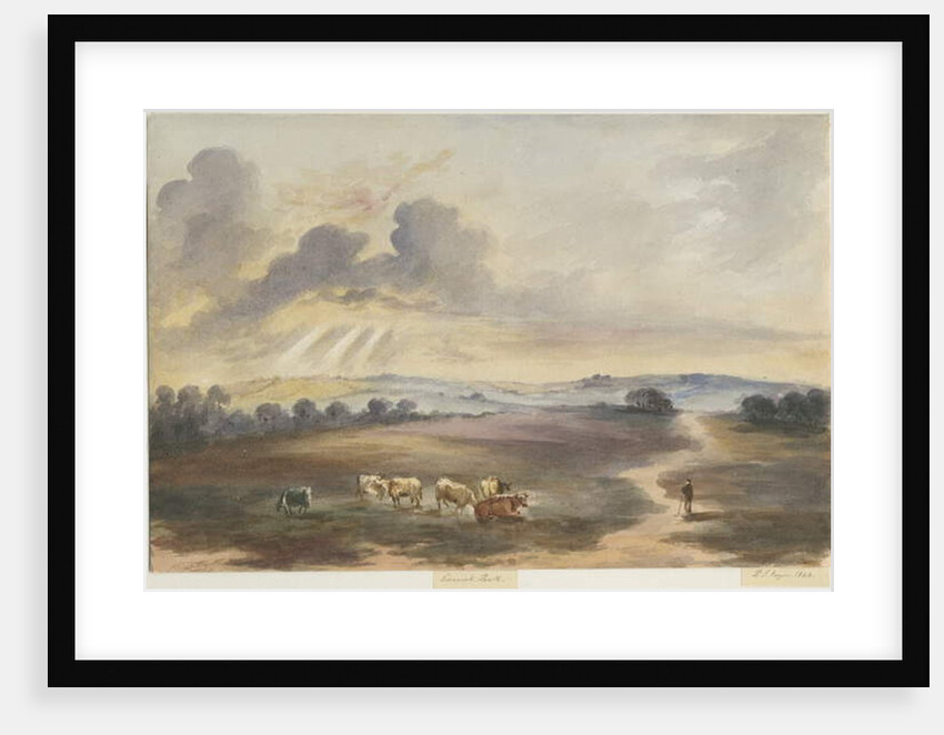 Cannock Chase - 'Heath' by Henry James Noyes