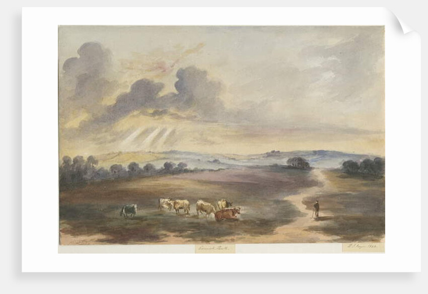 Cannock Chase - 'Heath' by Henry James Noyes