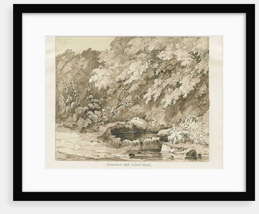 Codsall Wood - Brimstone Well by Thomas Peploe Wood