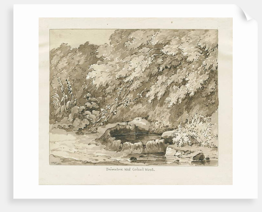 Codsall Wood - Brimstone Well by Thomas Peploe Wood