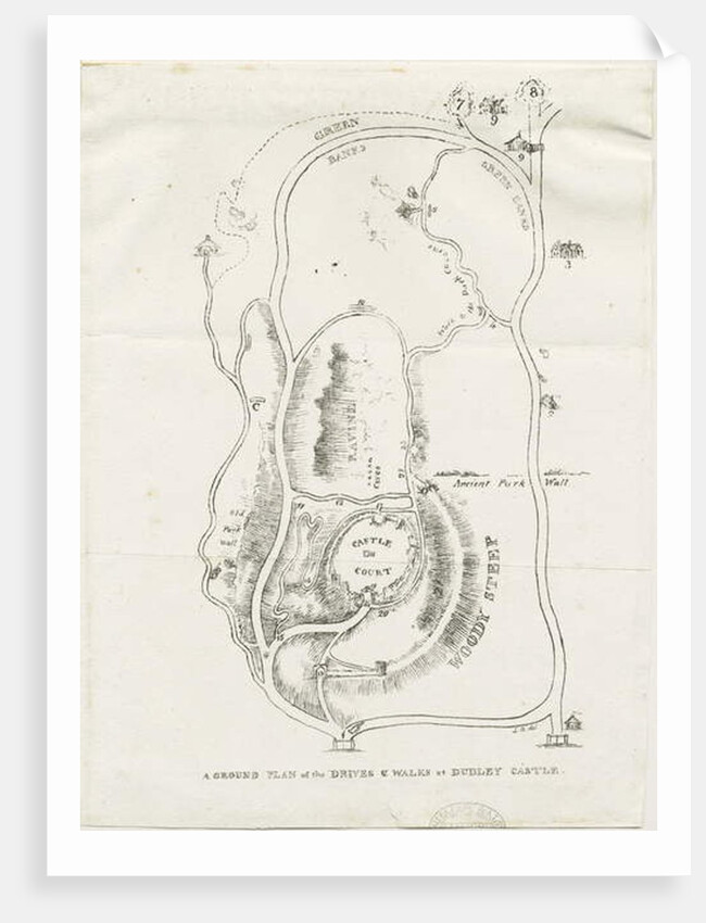 Dudley Castle: lithograph by Luke Booker