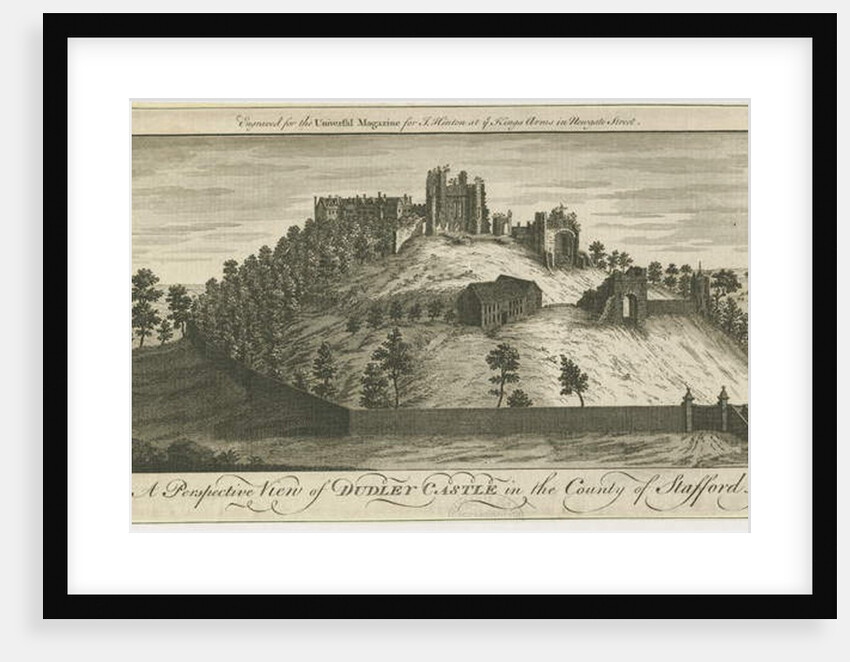 Dudley Castle by School English