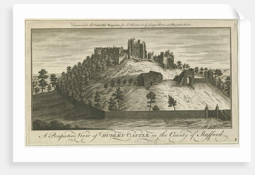 Dudley Castle by School English