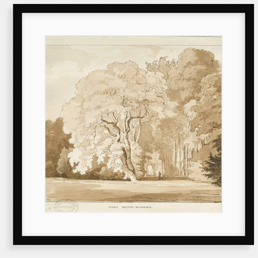 Ingestre - a study of trees by Thomas Peploe Wood