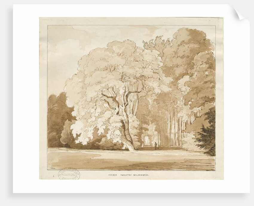 Ingestre - a study of trees by Thomas Peploe Wood