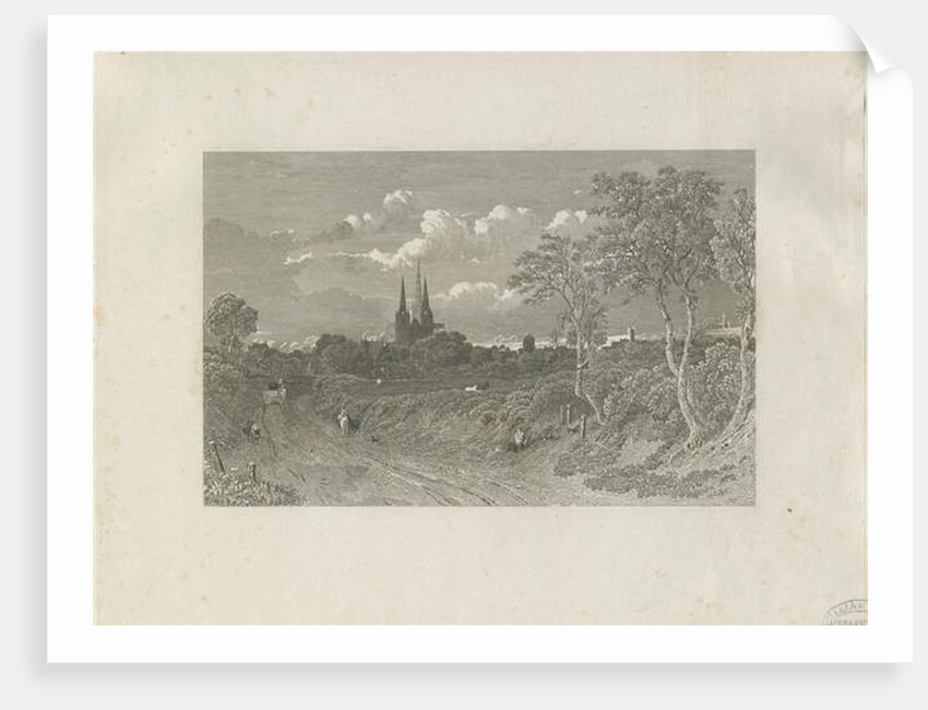 Lichfield Cathedral - West View by School English