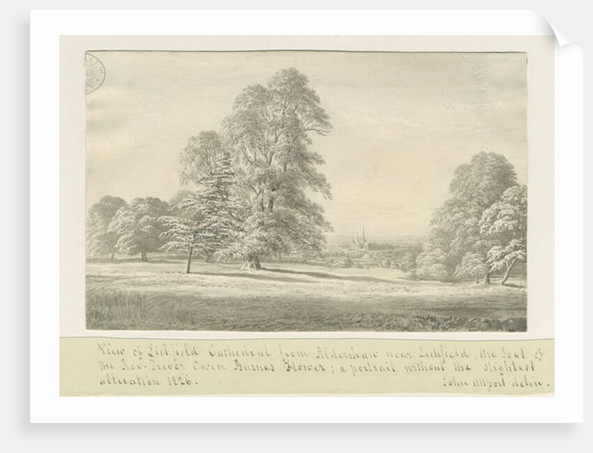 Lichfield Cathedral - View from Aldershaw by John Allport