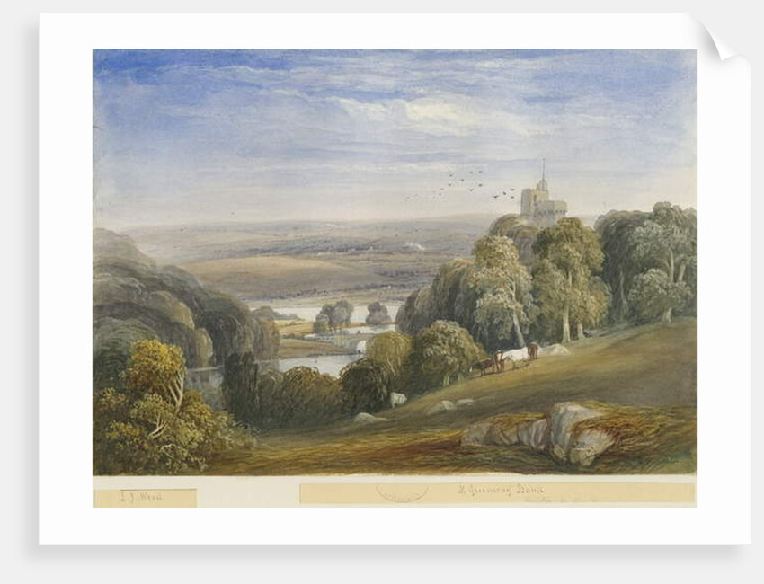 Greenway Bank - Lake by Lewis John Wood