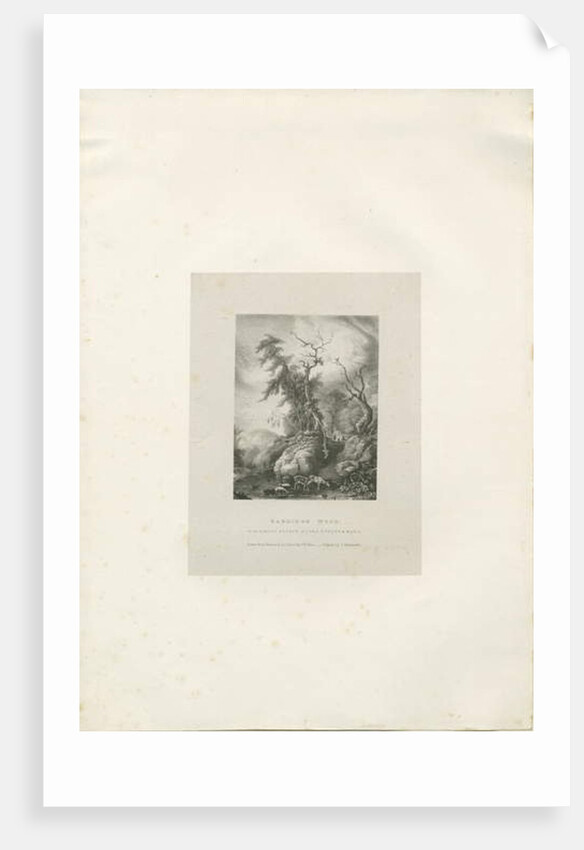 Himley Estate - 'Bagridge Wood' by Charles Joseph Hullmandel