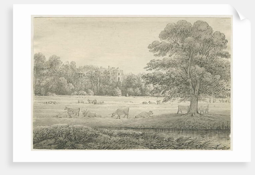 Hagley Hall by John Allport