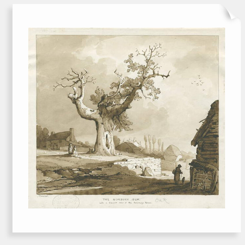 Norbury Village - 'The Norbury Elm' by Thomas Peploe Wood