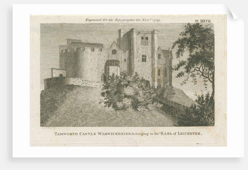 Tamworth Castle by Stebbing Shaw