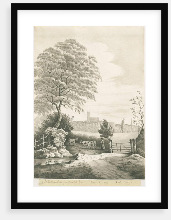 Wolverhampton - Distant view from Dunstall Lane by Robert Noyes