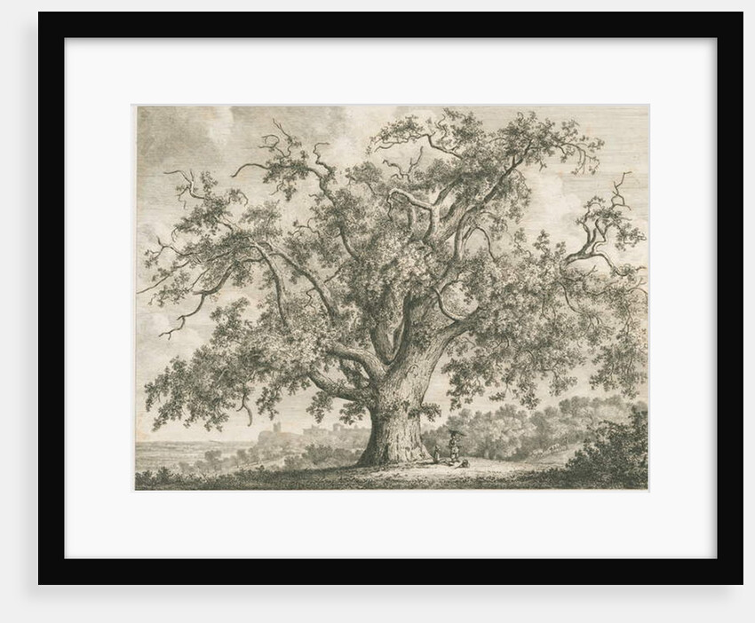 Tutbury - 'Wych Elm': etching by Jacob George Strutt