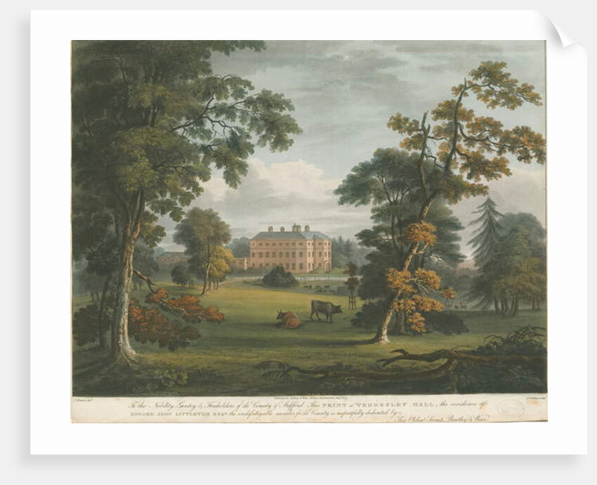 Teddesley Hall: coloured aquatint engraving by School English