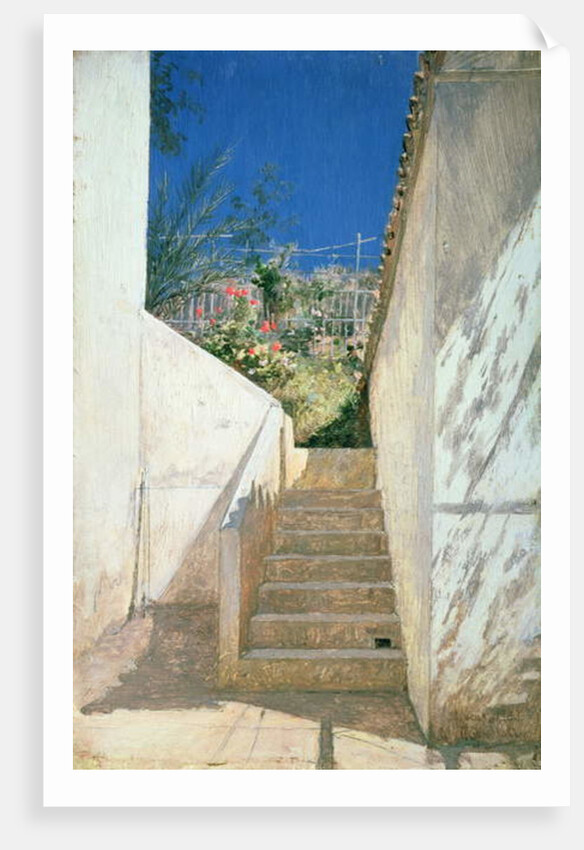 Steps in a Garden, Algeria, 1883 by Pavel Aleksandrovich Bryullov