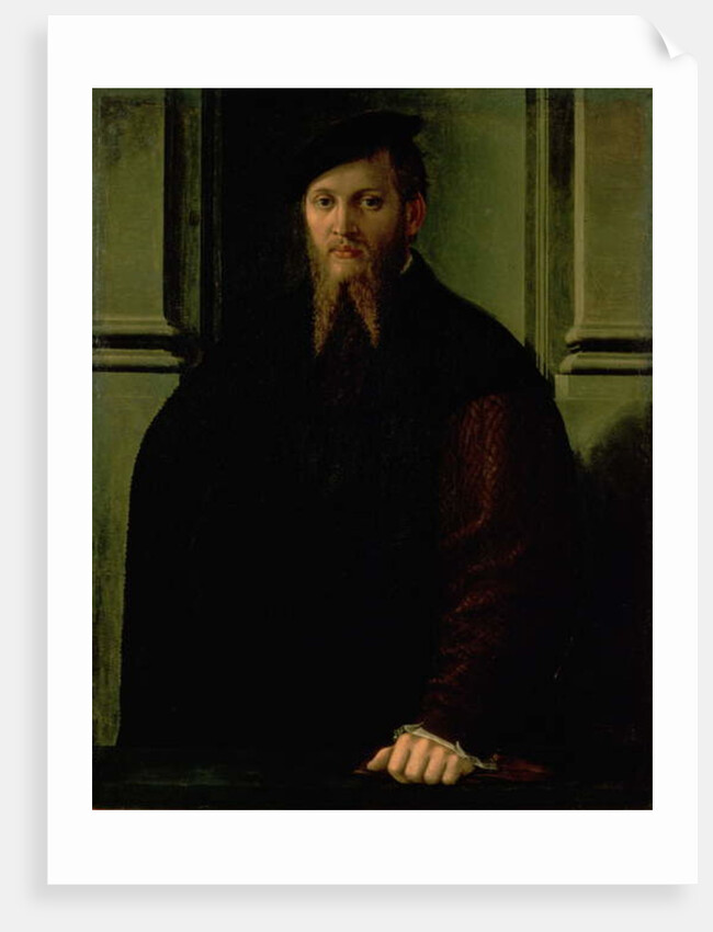 Portrait of a Man by Parmigianino