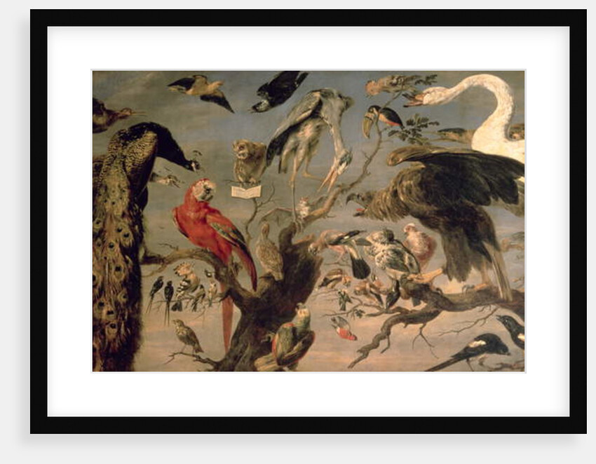 The Bird's Concert by Frans Snyders or Snijders