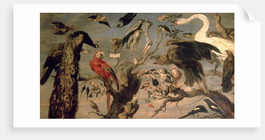 The Bird's Concert by Frans Snyders or Snijders