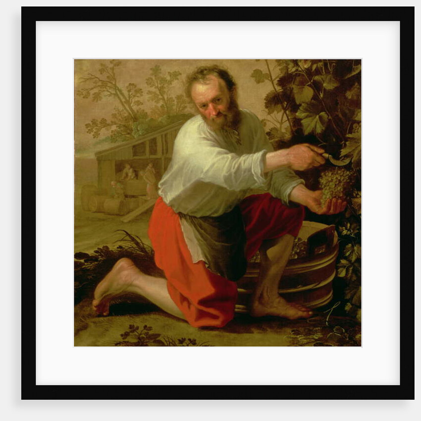 Vine Grower, 1628 by Jacob Gerritsz Cuyp