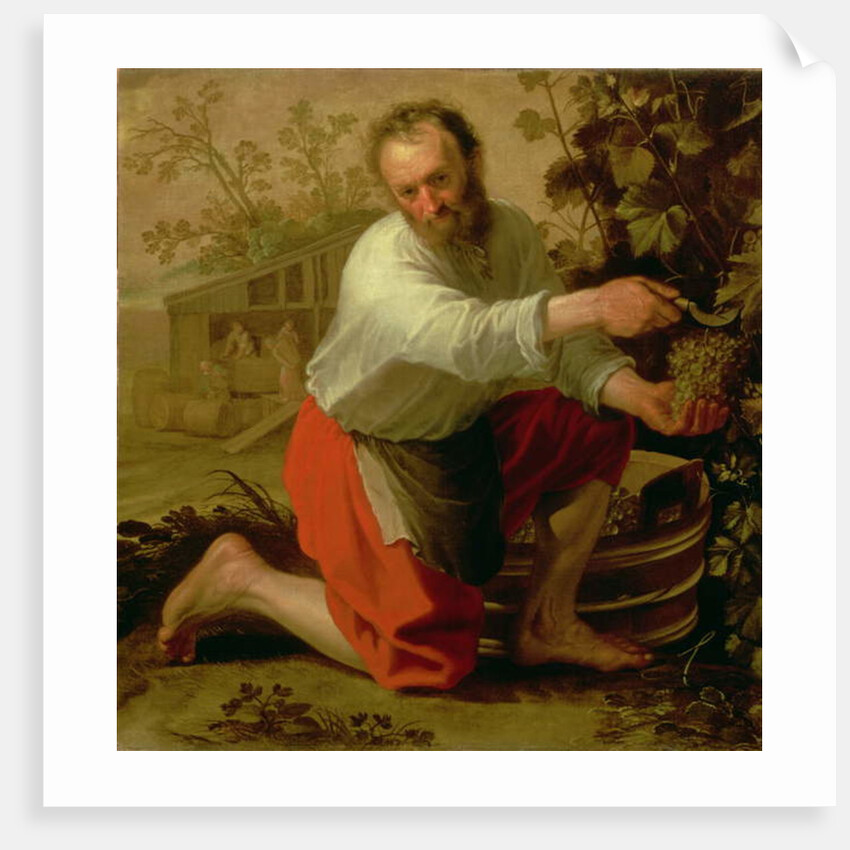 Vine Grower, 1628 by Jacob Gerritsz Cuyp