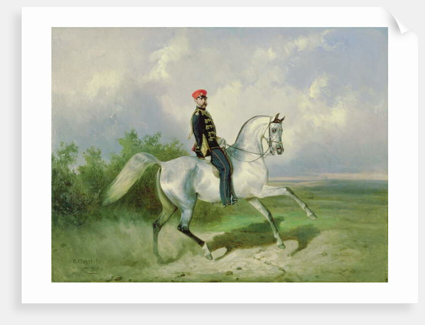 Portrait of Emperor Alexander II 1876 by Nikolai Egorevich Sverchkov