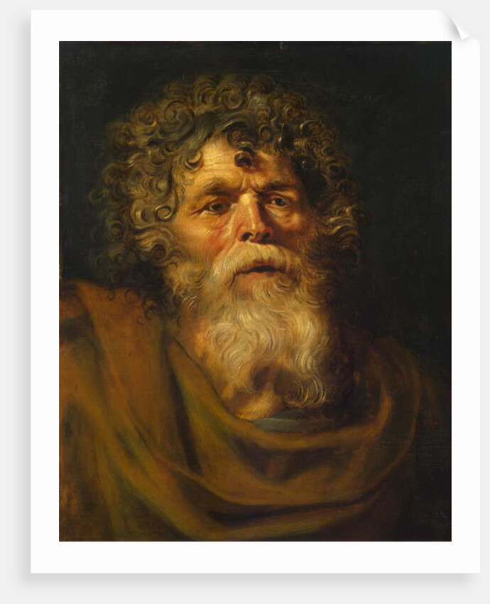 Head of an Old Man, Study for 'The Crown of Thorns', c.1612-14 by Peter Paul Rubens