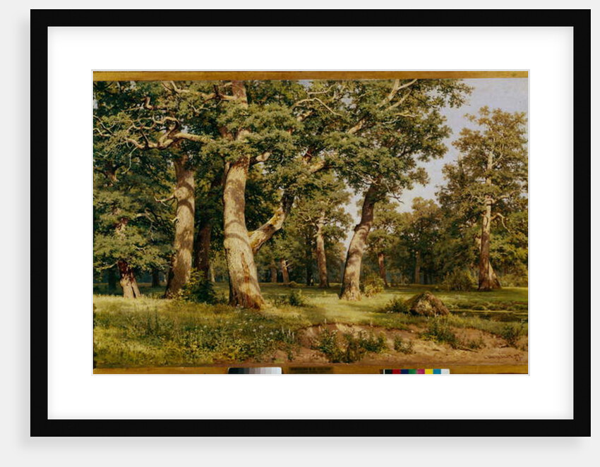 Oak Grove, 1887 by Ivan Ivanovich Shishkin