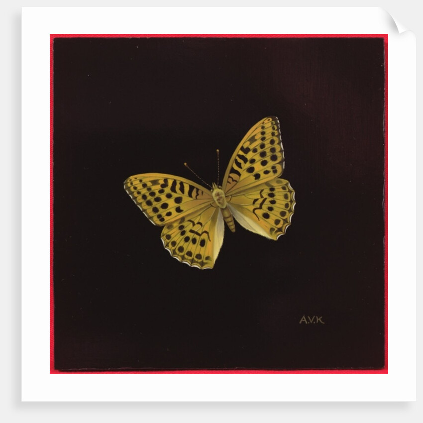 Silver washed fritillary butterfly, 2000 by Amelia Kleiser