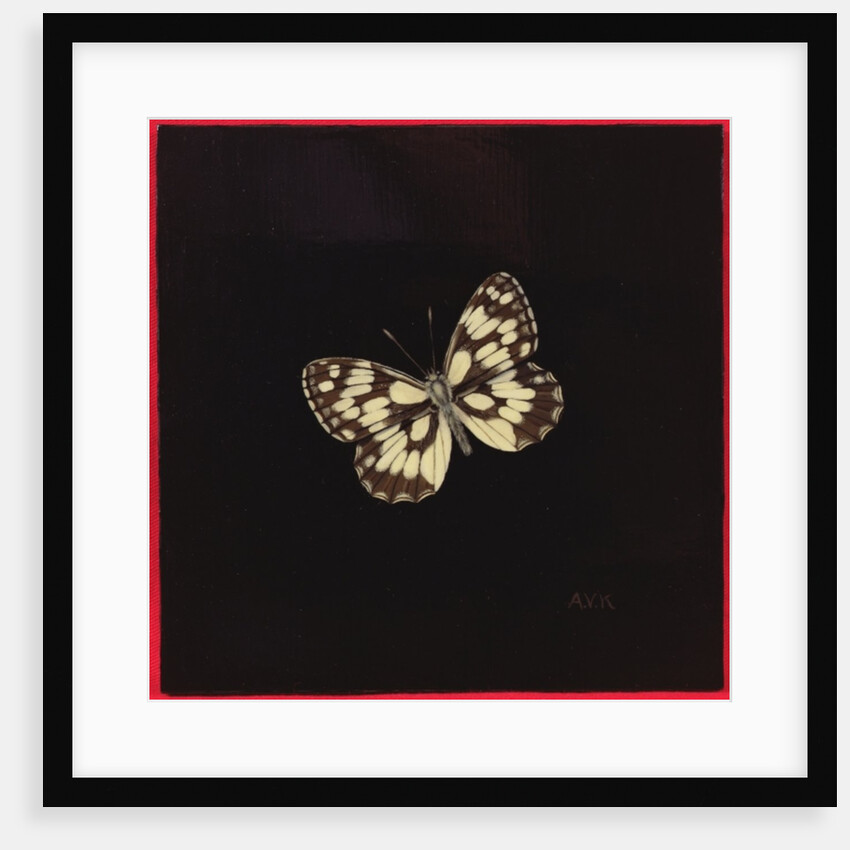 Marbled white butterfly, 2000 by Amelia Kleiser