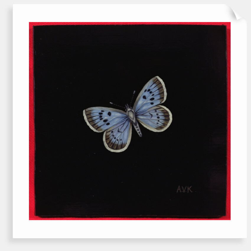 Large blue butterfly, 2000 by Amelia Kleiser