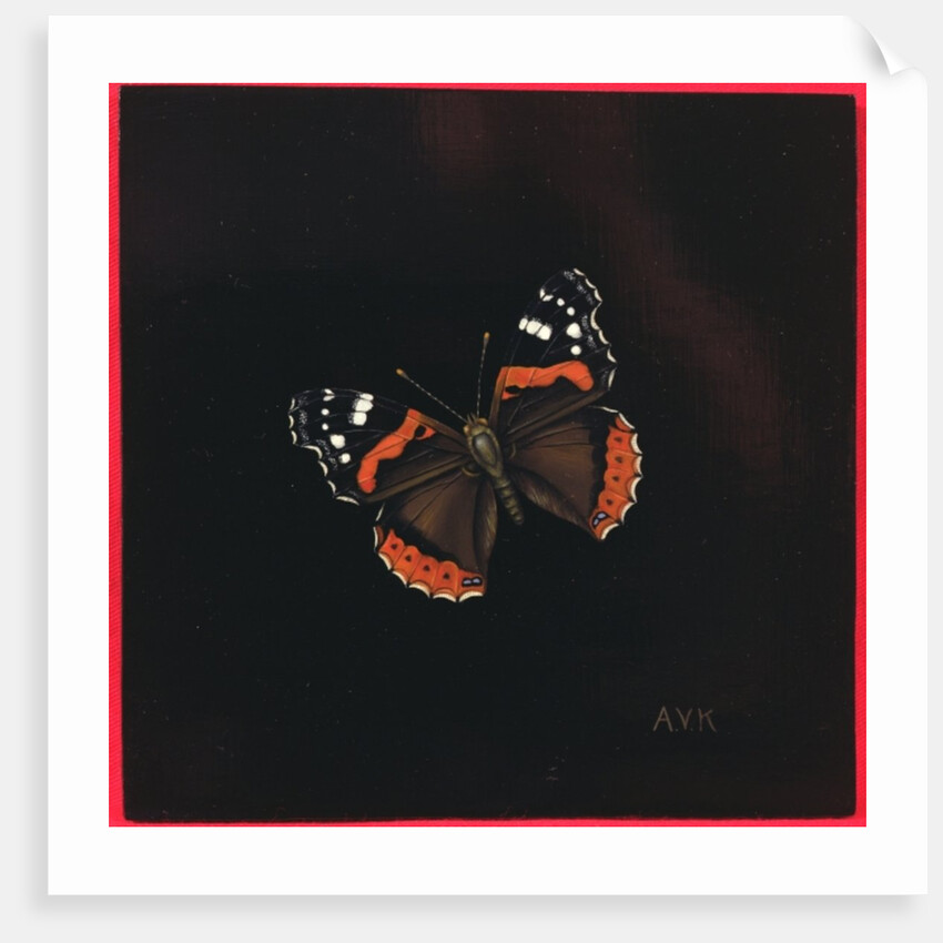 Red Admiral butterfly, 2001 by Amelia Kleiser