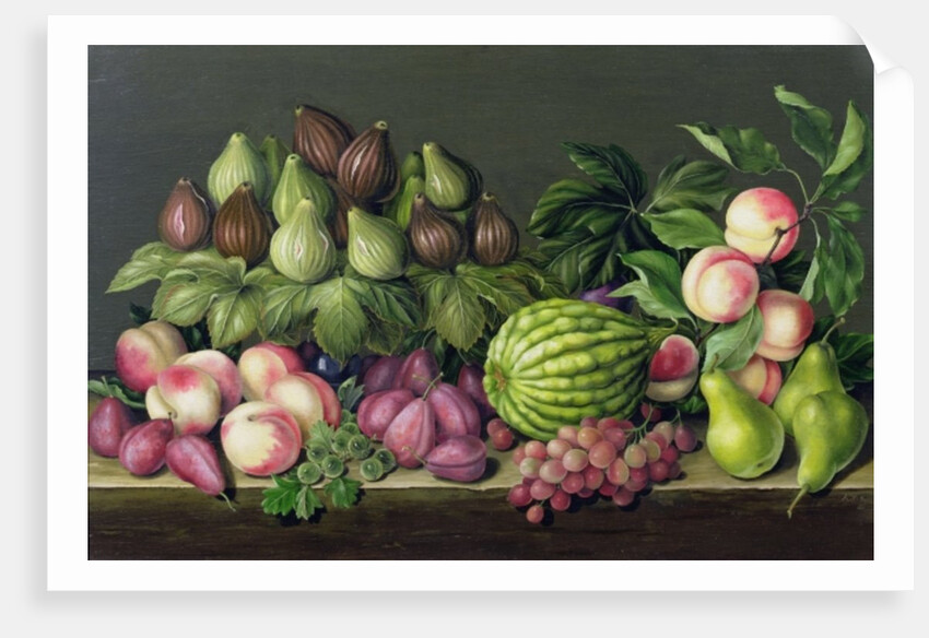 Figs, melon and gooseberries, 1998 by Amelia Kleiser