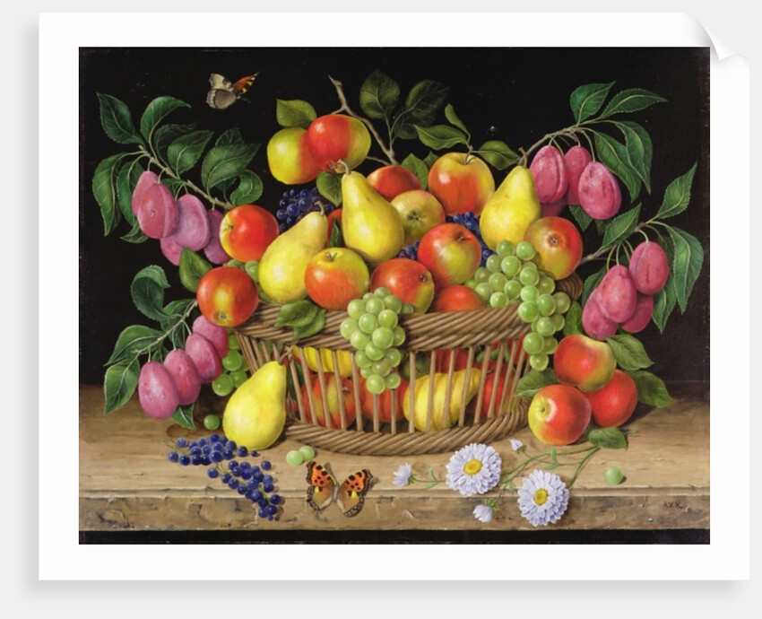 Apples, pears. grapes and plums, 1999 by Amelia Kleiser