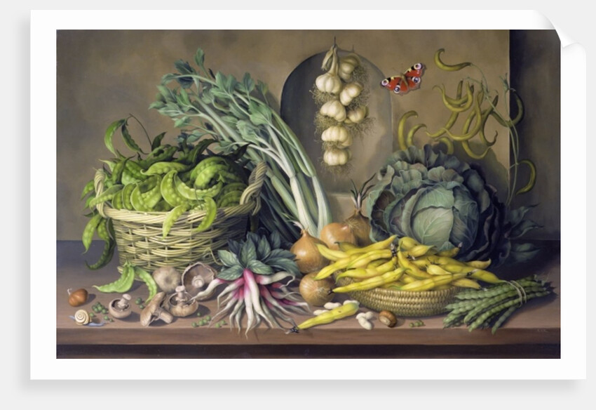 Garlic and radishes and a peacock buttefly, 1997 by Amelia Kleiser