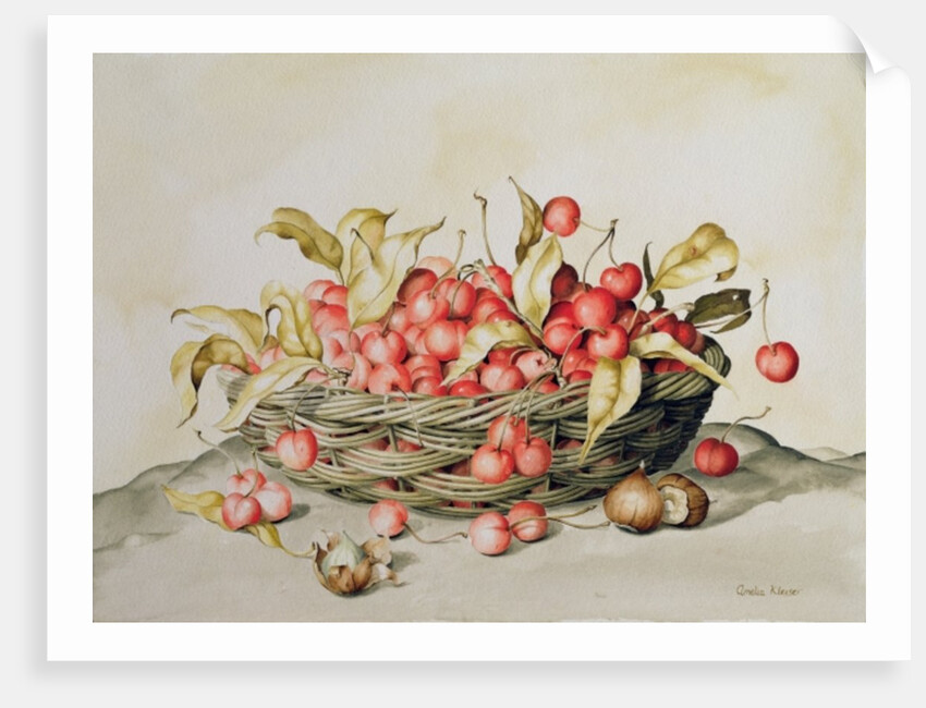 Basket of cherries, 1998 by Amelia Kleiser