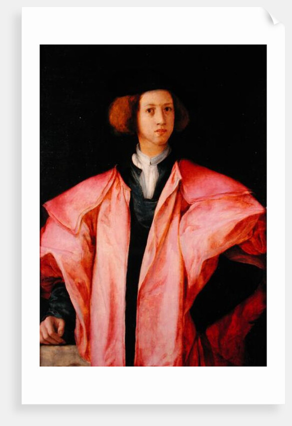 Portrait of a Young Man by Jacopo Pontormo