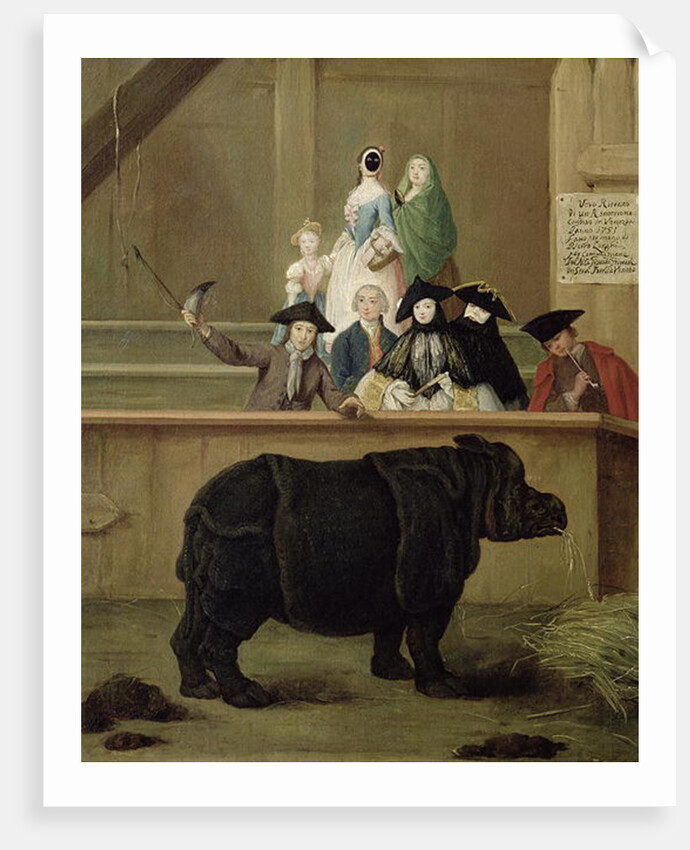 The Rhinoceros, 1751 by Pietro Longhi