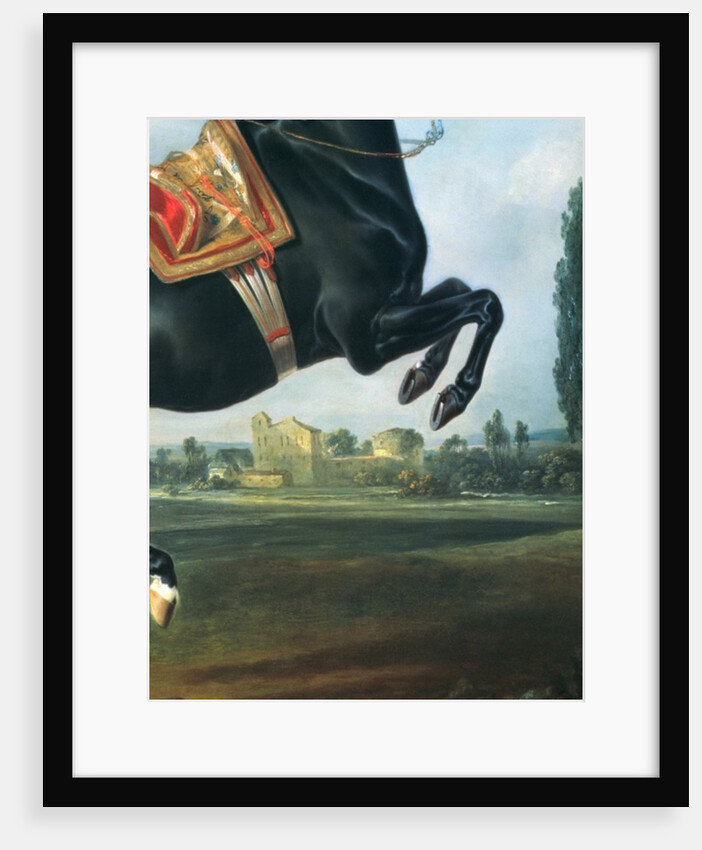 A black horse performing the Courbette by Johann Georg Hamilton