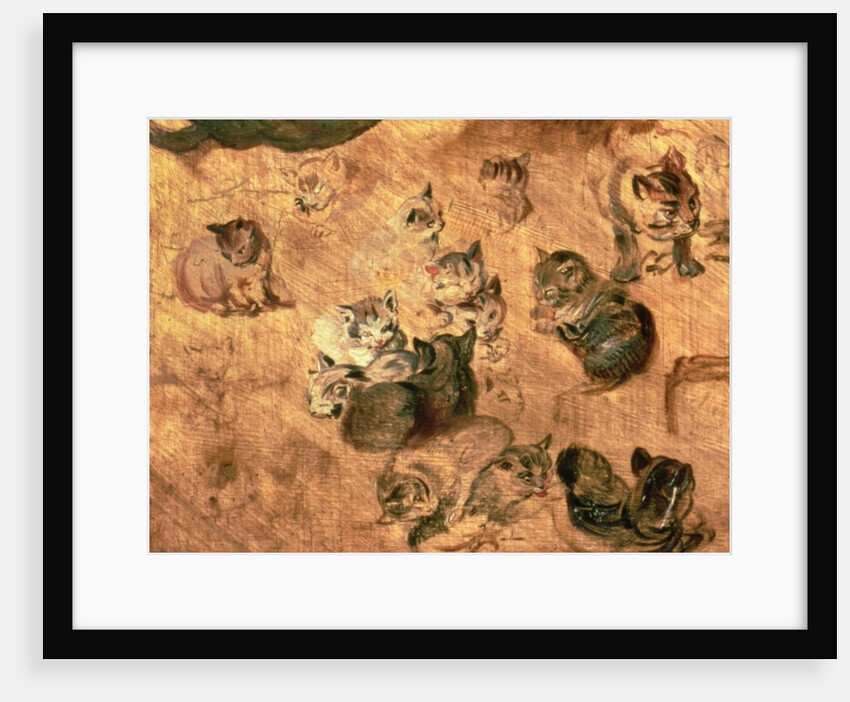 Study of cats, 1616 by Jan the Elder Brueghel