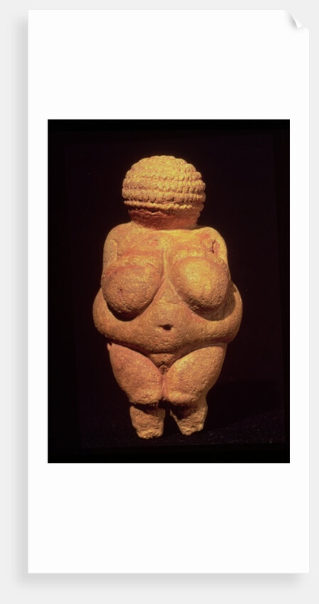 The Venus of Willendorf, 30000-25000 BC by Prehistoric Prehistoric