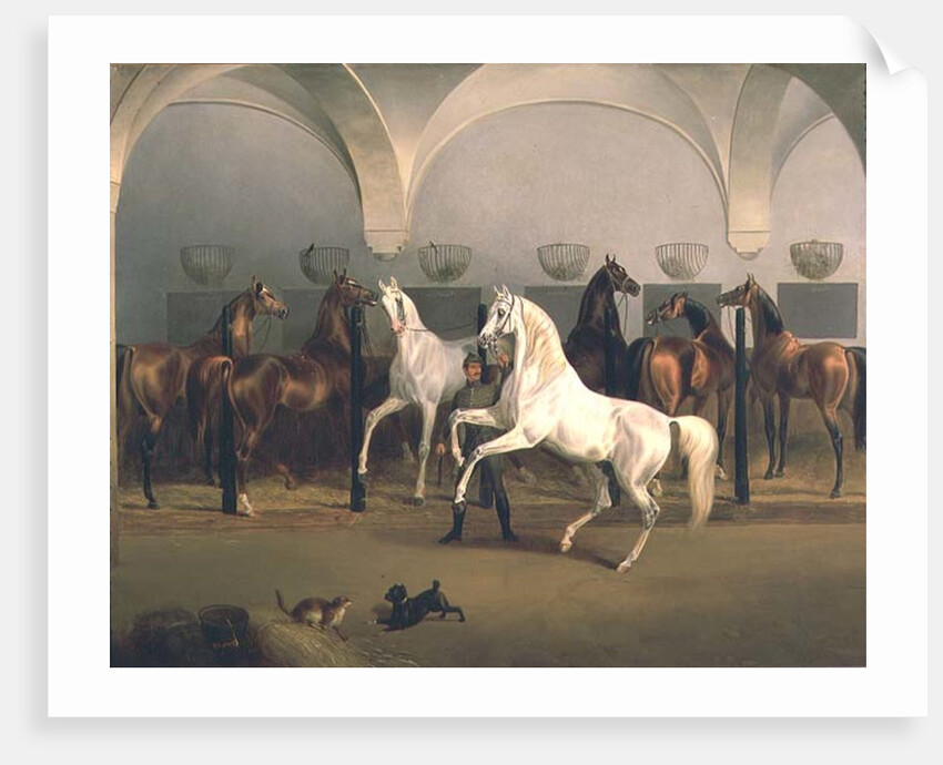 The Stables at Babolna, 1849 by Otto Stotz