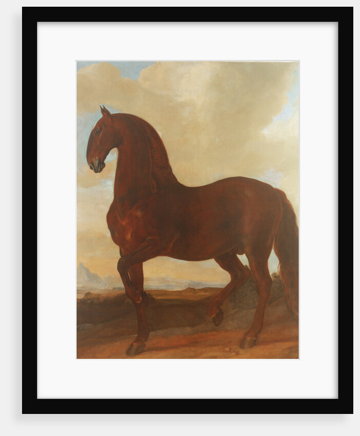 The Bay Stallion at the Eisgruber Stud by Johann Georg Hamilton