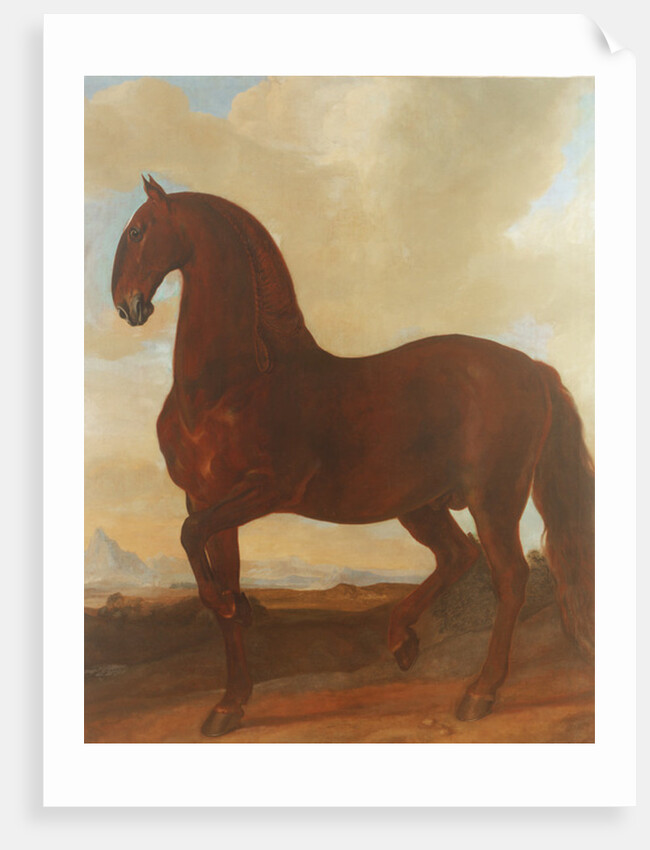 The Bay Stallion at the Eisgruber Stud by Johann Georg Hamilton