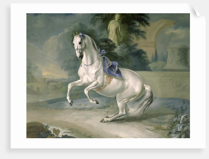 The White Stallion 'Leal' en levade, 1721 by J.G. & Brand J.C. Hamilton
