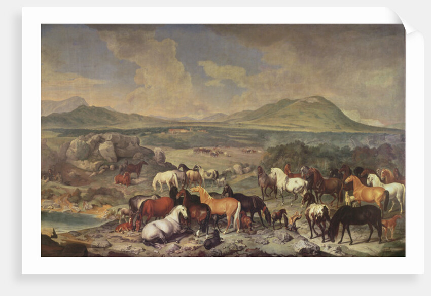 The Imperial Stud with Lipizzaner Horses by Johann Georg Hamilton