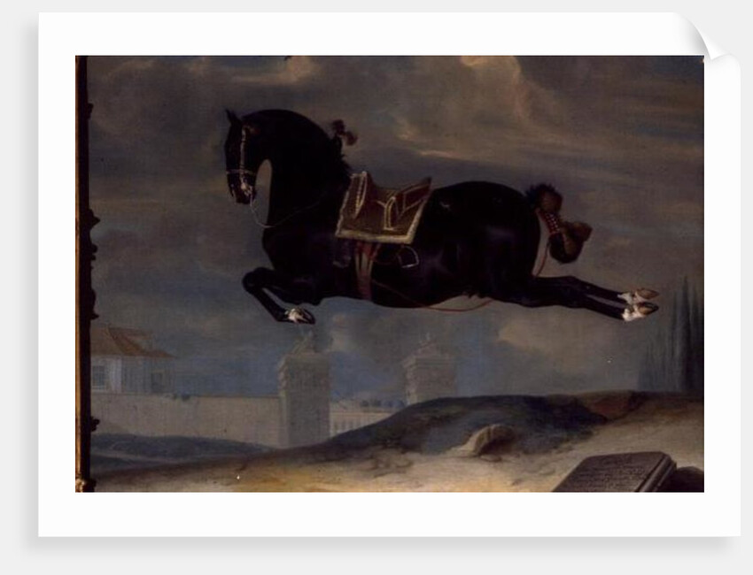 The black horse 'Curioso' performing a Capriole by Johann Georg Hamilton