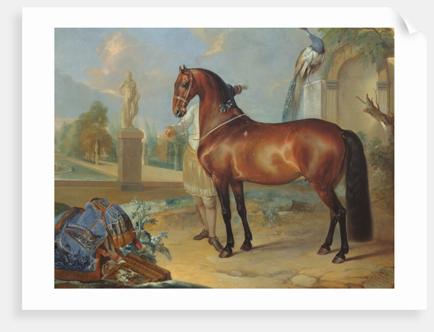 The bay horse' Sincero' by Johann Georg Hamilton